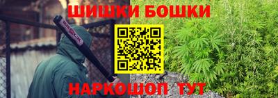 ECSTASY Гусь-Хрустальный