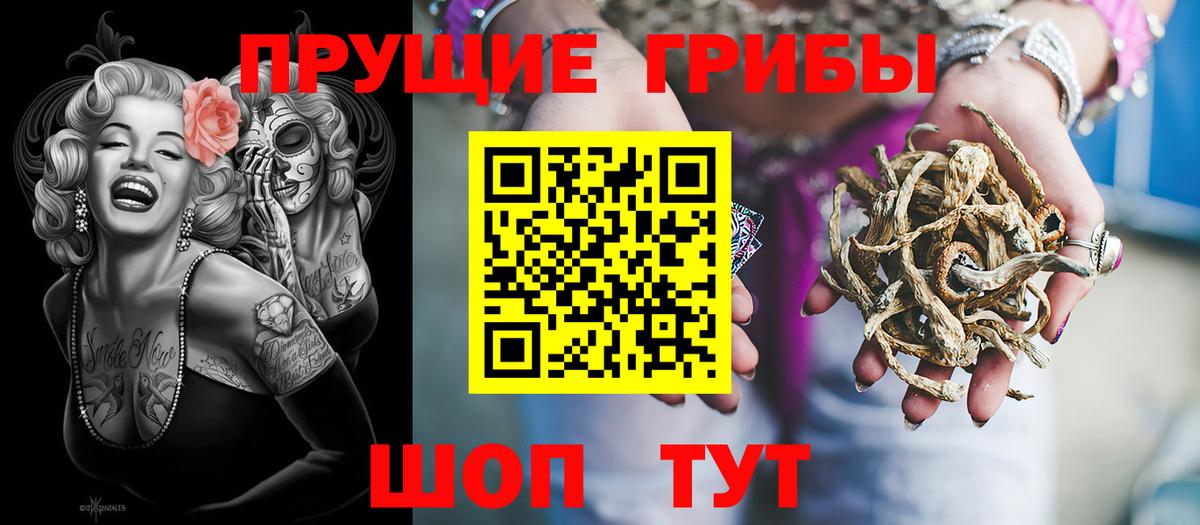Псилоцибиновые грибы MAGIC MUSHROOMS Кондопога
