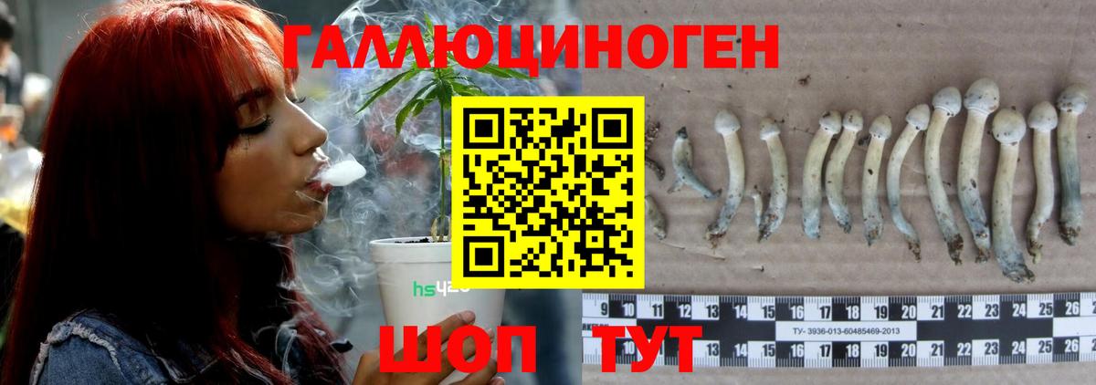 Галлюциногенные грибы мухоморы  Вход с VPN  Галлюциногенные грибы Cubensis  Кондопога 